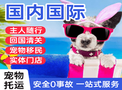 成都空运国际宠物托运 【国