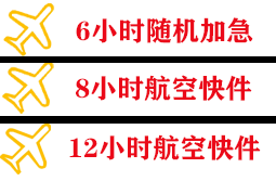 成都空运快递公司,专业空运当天件